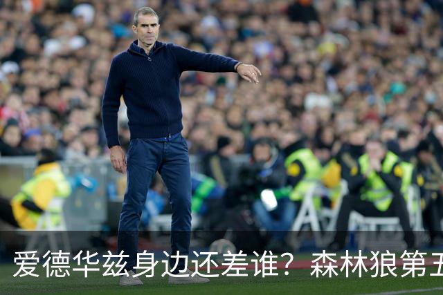 爱德华兹身边还差谁？森林狼第五位首发到底怎么选